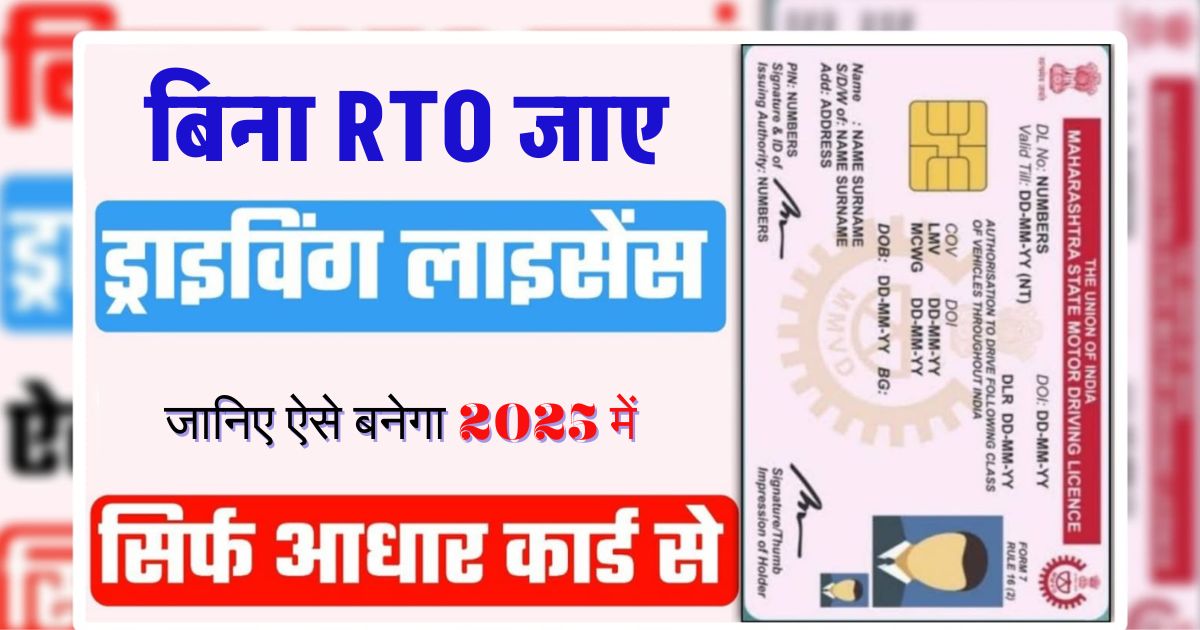 Driving Licence