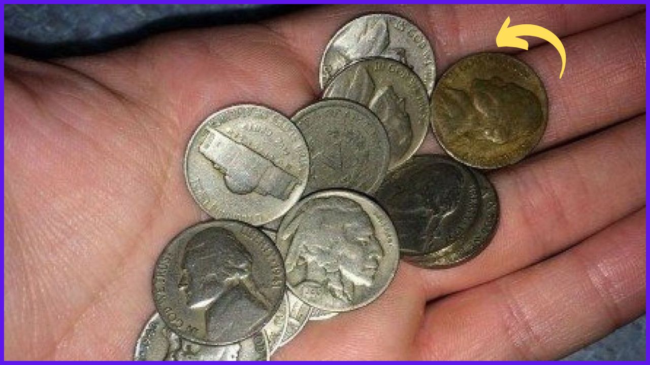 Rare Coins Worth $30350 That Could Make You Rich Overnight – Check If You Have One